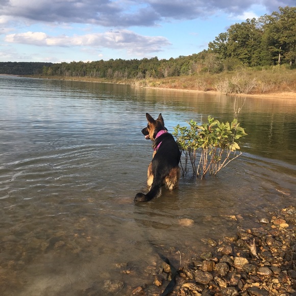 Meet your Posher, Dianne - Picture 1 of 1